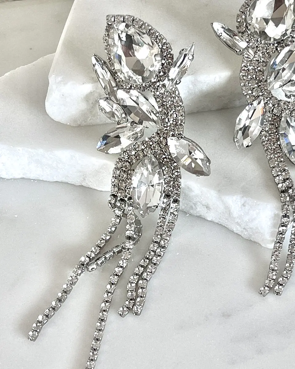 Maxi Aros  Borboleta Strass Silver 3