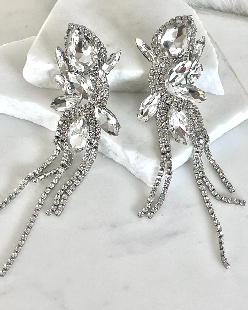 Maxi Aros  Borboleta Strass Silver 5