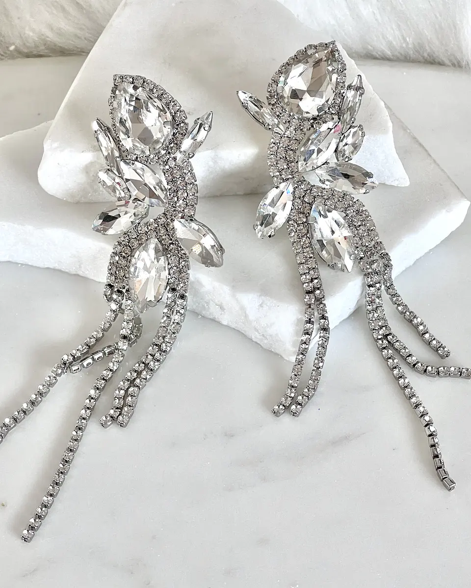 Maxi Aros  Borboleta Strass Silver 1