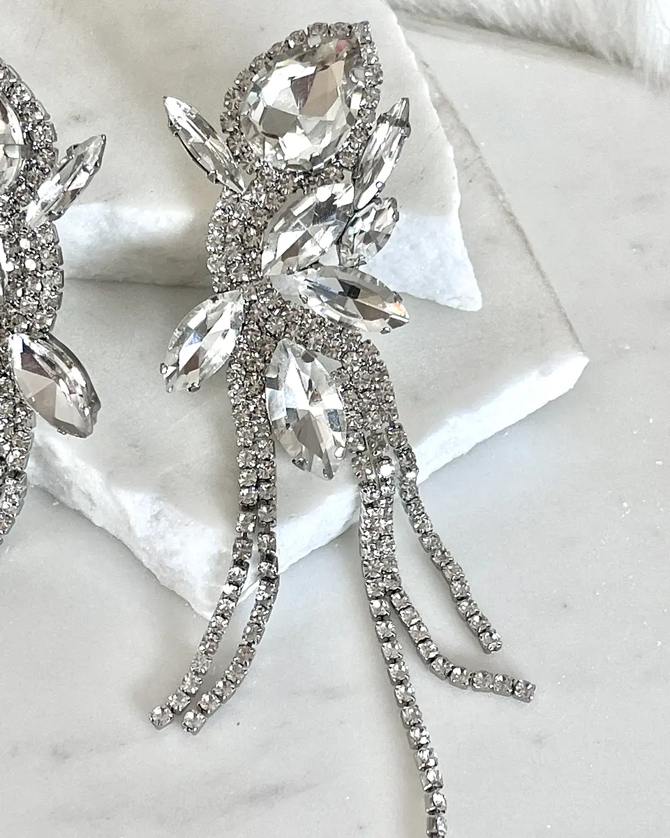 Maxi Aros  Borboleta Strass Silver 4