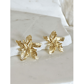 Aros Magnolia medianos Gold