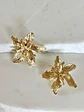 Aros Magnolia medianos Gold - Miniatura 2