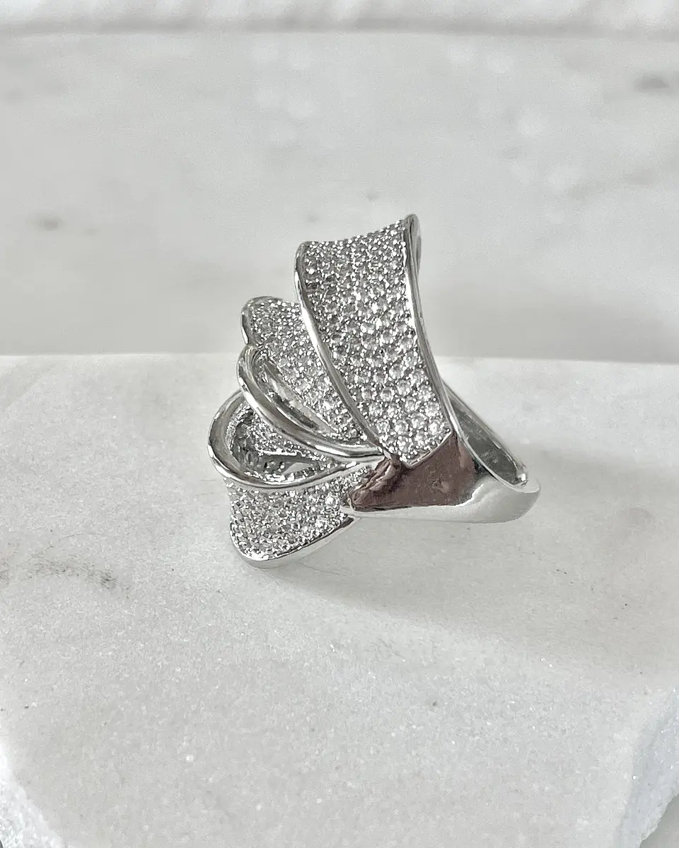 Anillo Elipse Entrelazado Circones Silver 3