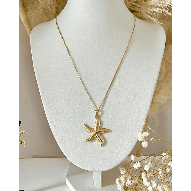 Conjunto Collar + Aros Estrella de Mar Gold