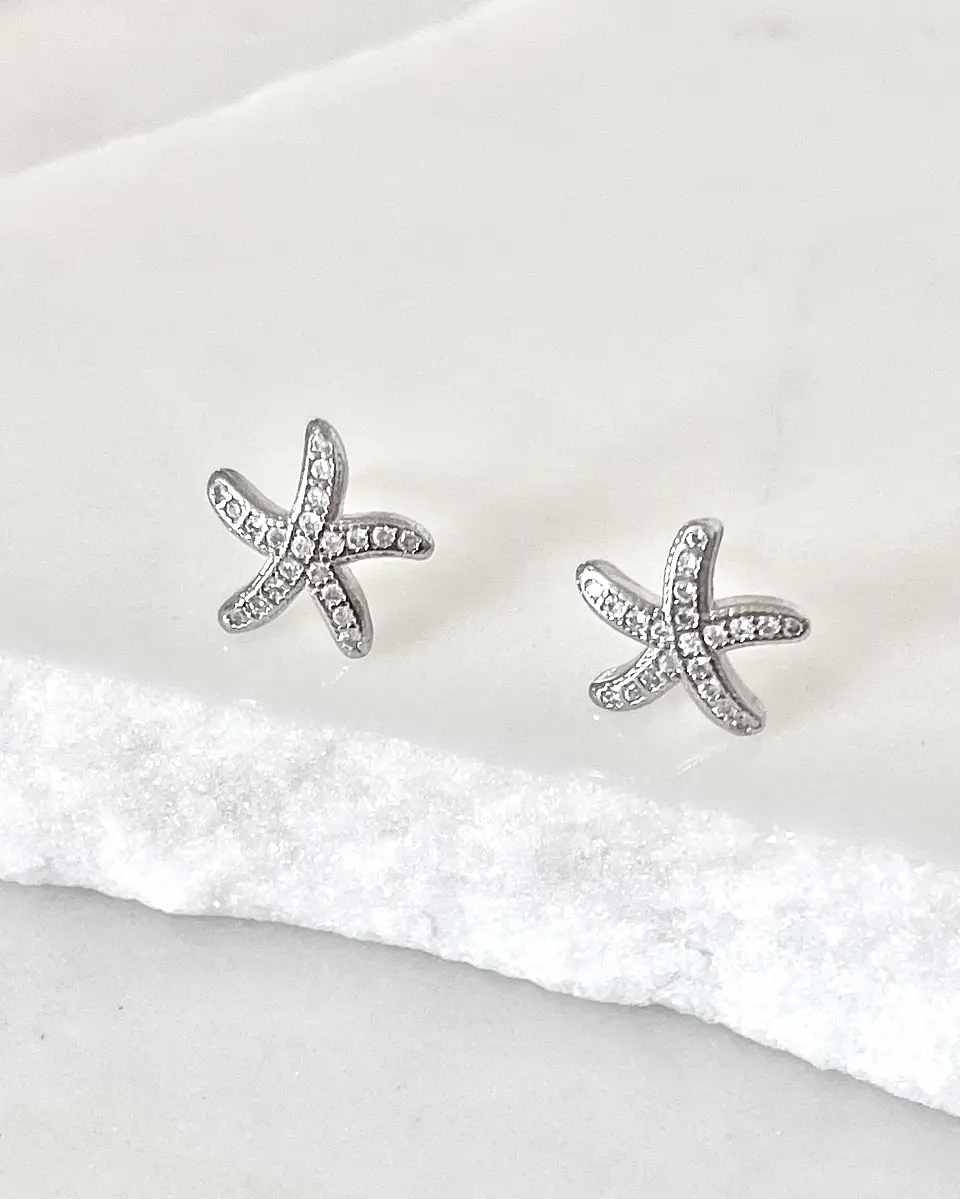Aros pequeños Estrella de Mar Silver 3