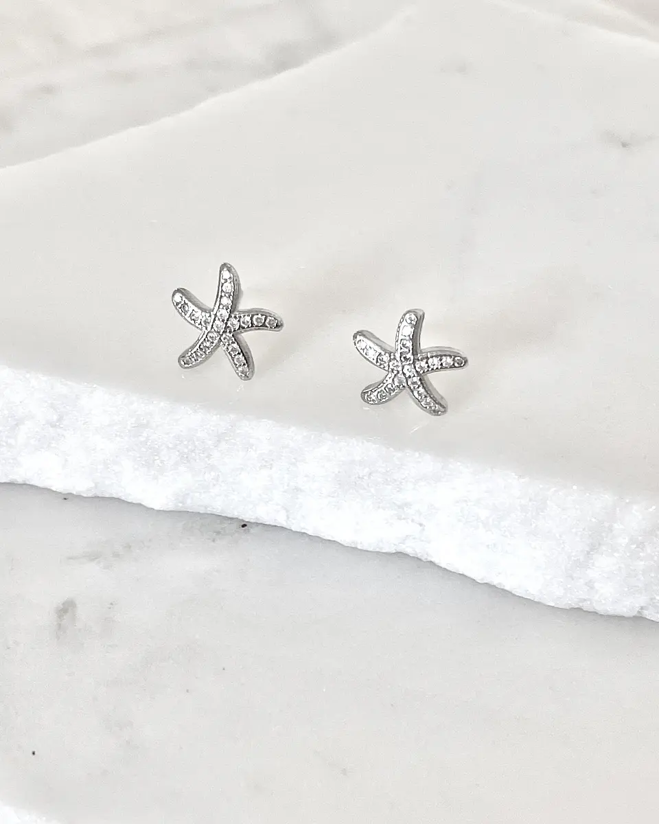 Aros pequeños Estrella de Mar Silver 4