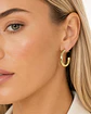 Aros Argollas Classic Gold - Miniatura 2