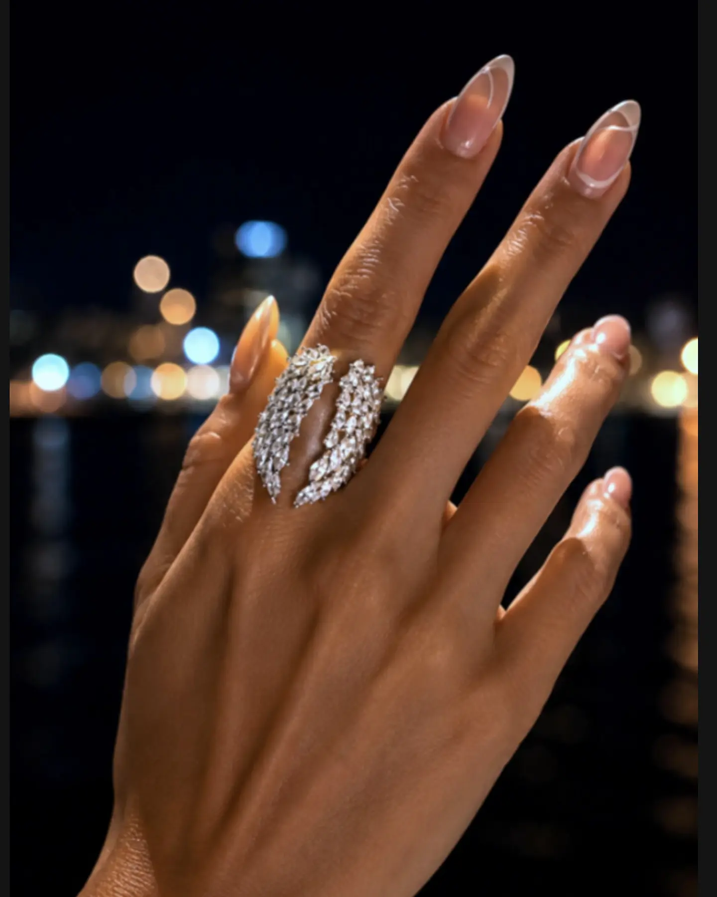 Anillo Alas Circones Silver  1