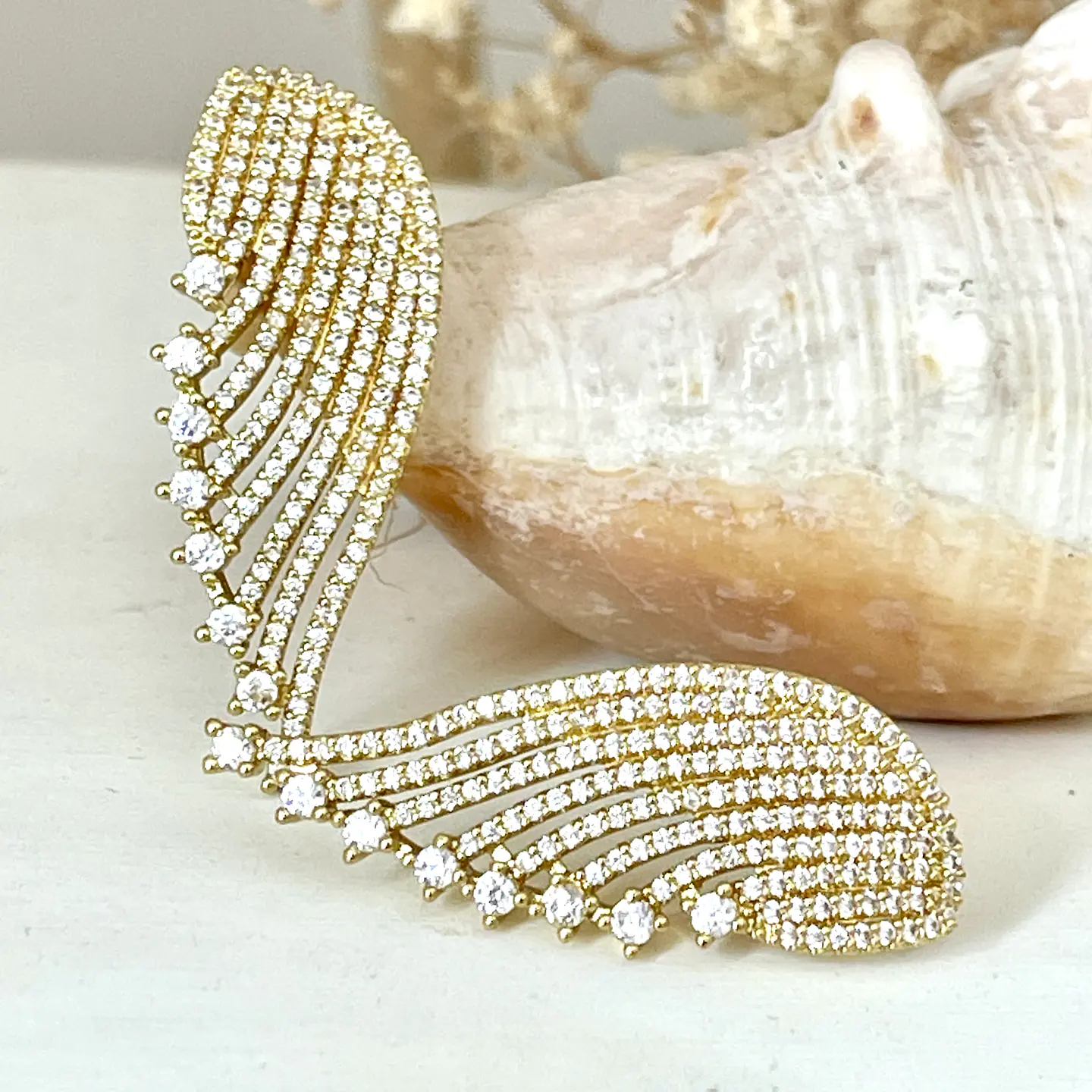 Aros Alas Full Circones Gold 1