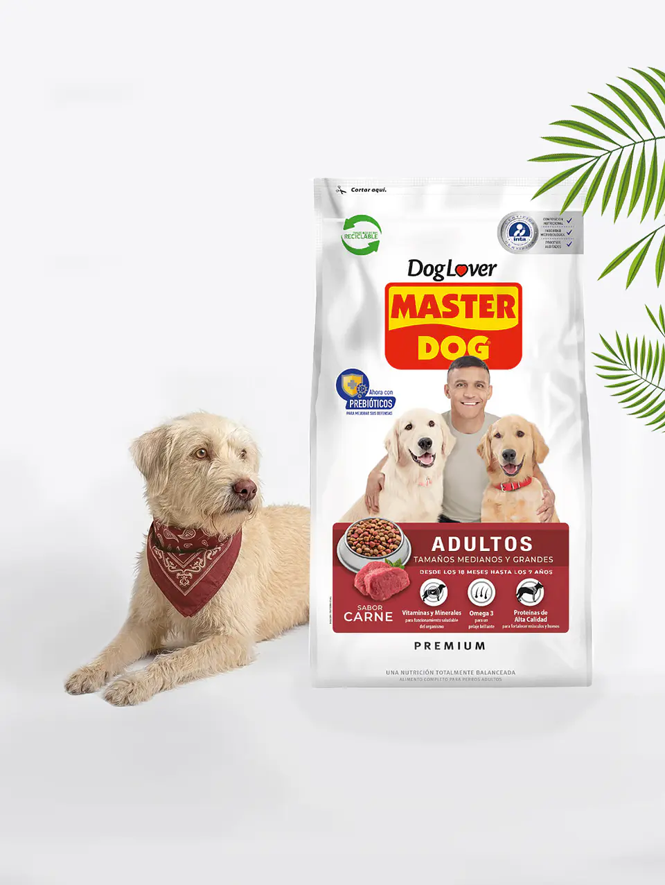 Master dog adulto carne 18kg 1