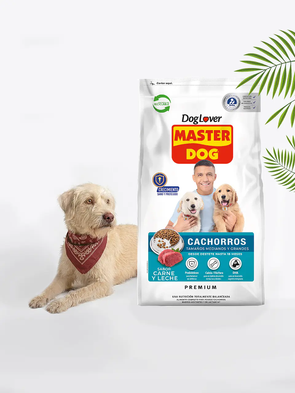 Master dog cachorros carne y leche 18kg 1