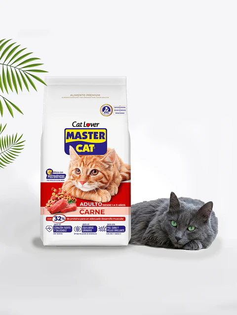 Master cat adulto carne 20+2kg