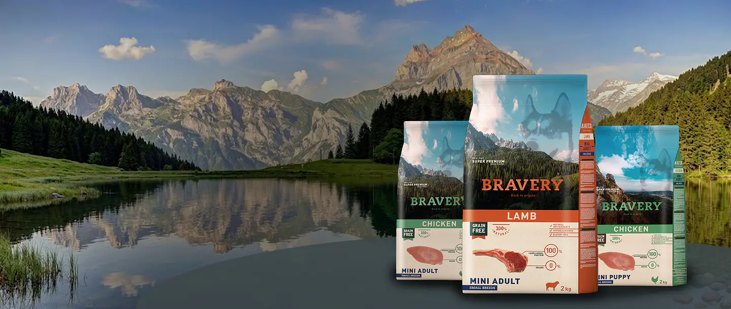Productos<br>bravery<div><br></div><div><br></div>