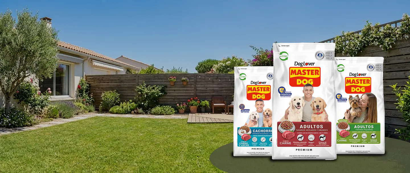 Nutricion<br><div>para cada</div><div>etapa</div>