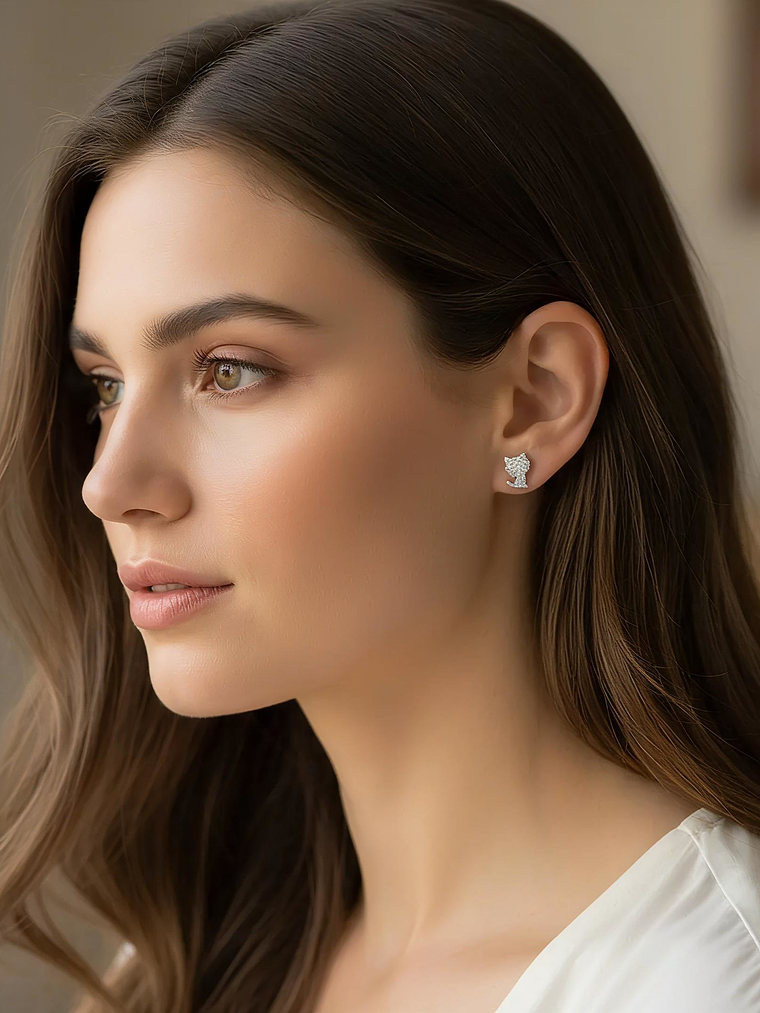 Aros de Gato micro-circones 2