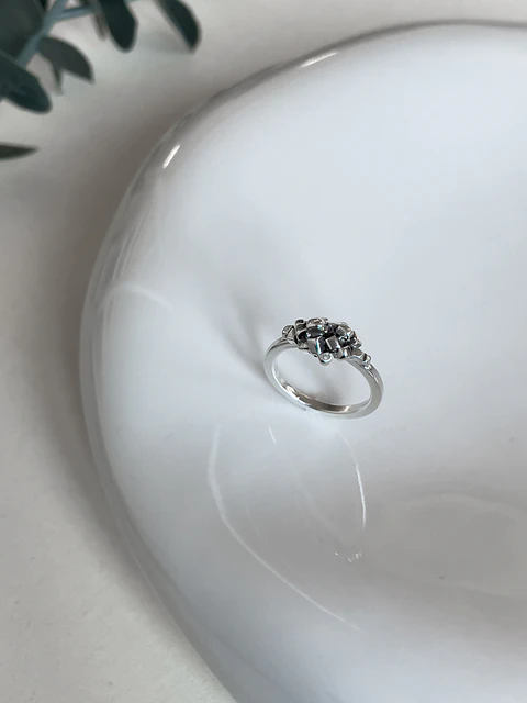 Anillo Ingels