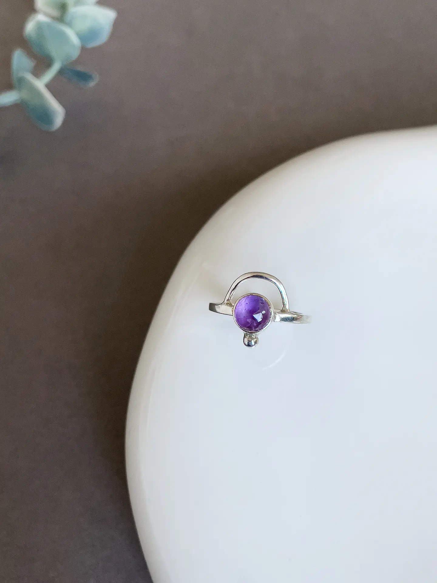 Anillo Venturi 1