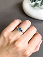 Anillo Whitney - Miniatura 2
