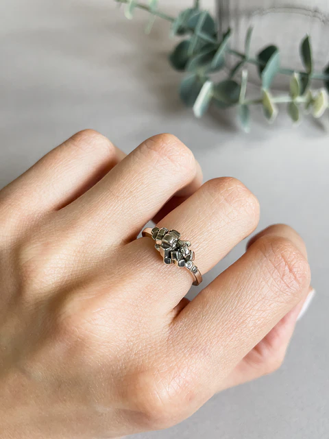 Anillo Ingels