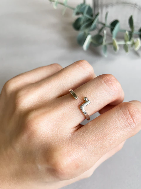 Gerrit Ring