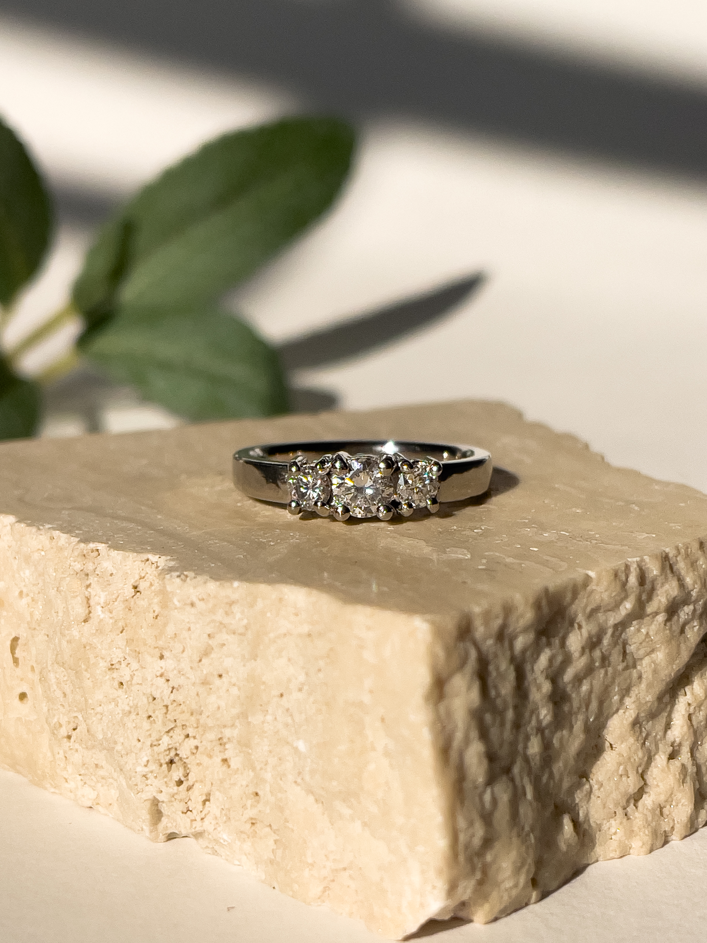 Tricillo Pt - 45 puntos IB