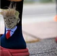 Calcetines TRUMP con pelo - Miniatura 1