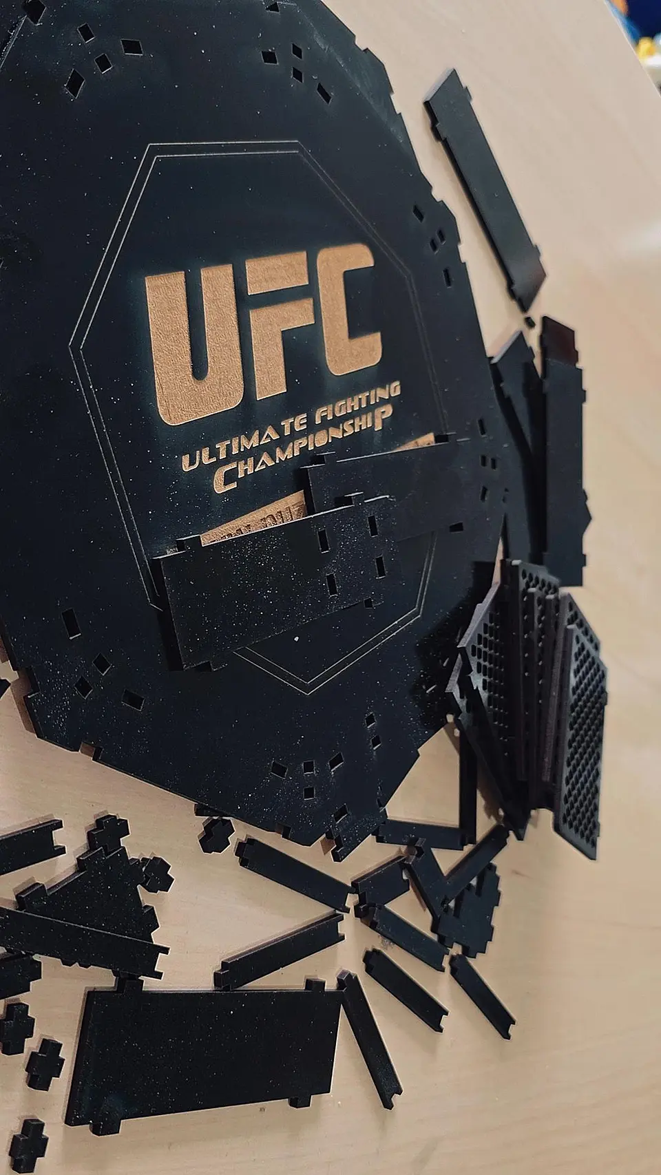 Octágono UFC 4