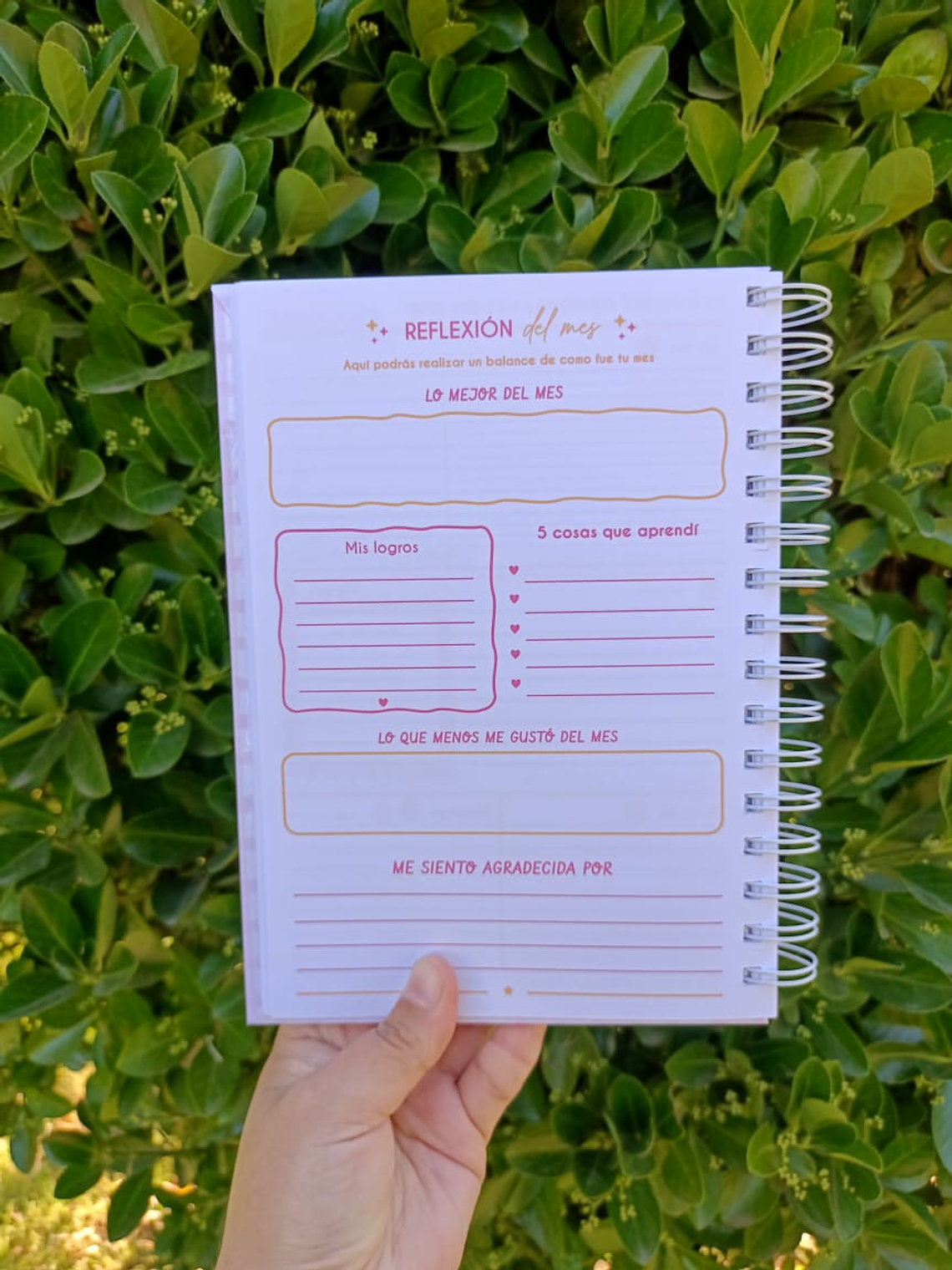 Planner conexión 2026 3