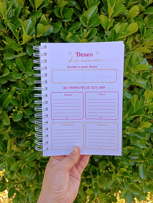 Planner conexión 2026