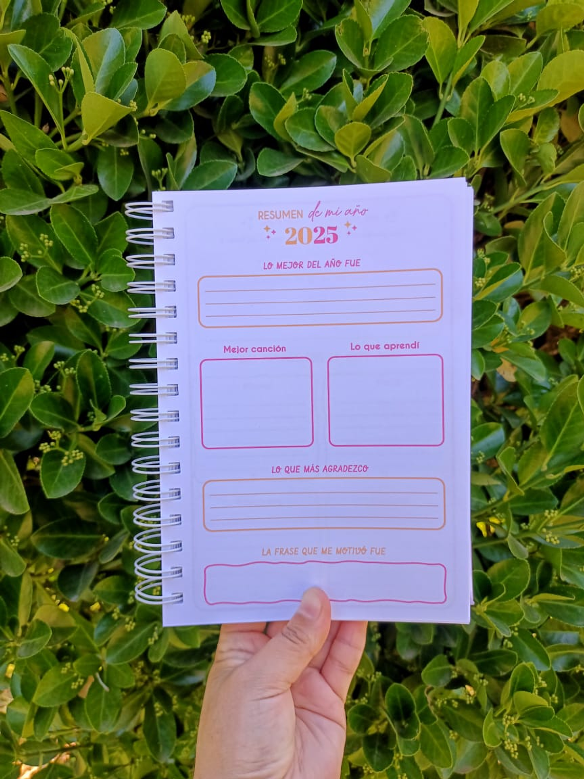 Planner conexión 2026 4