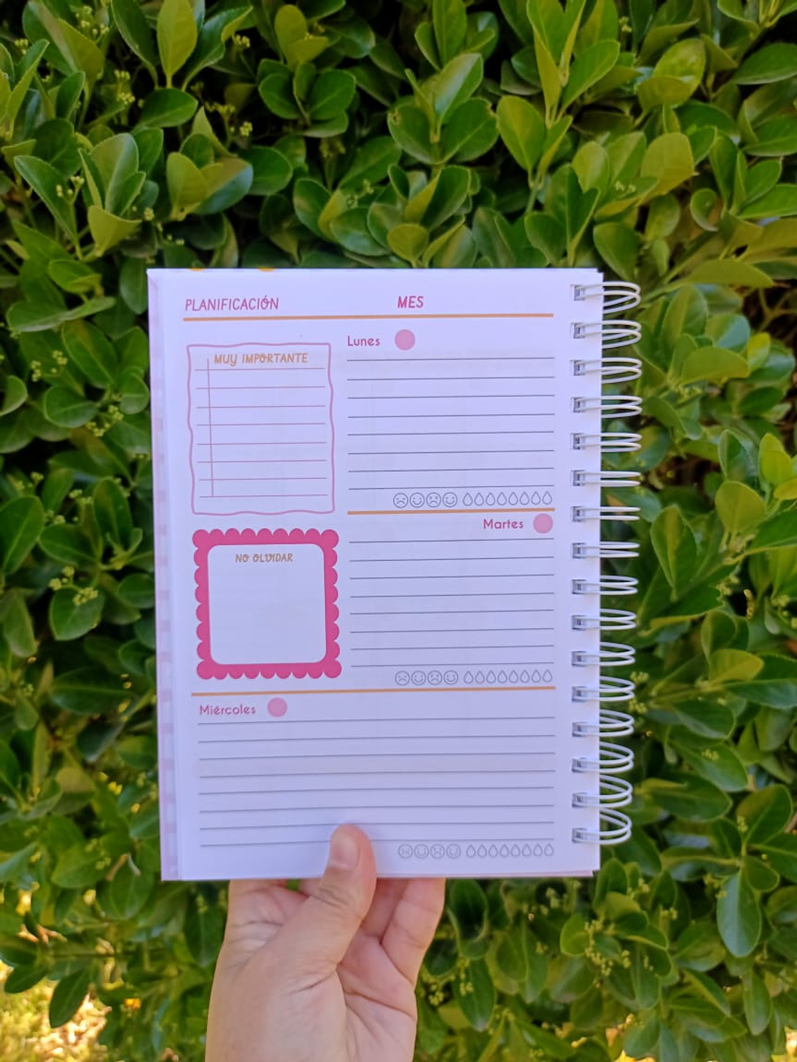 Planner conexión 2026 5