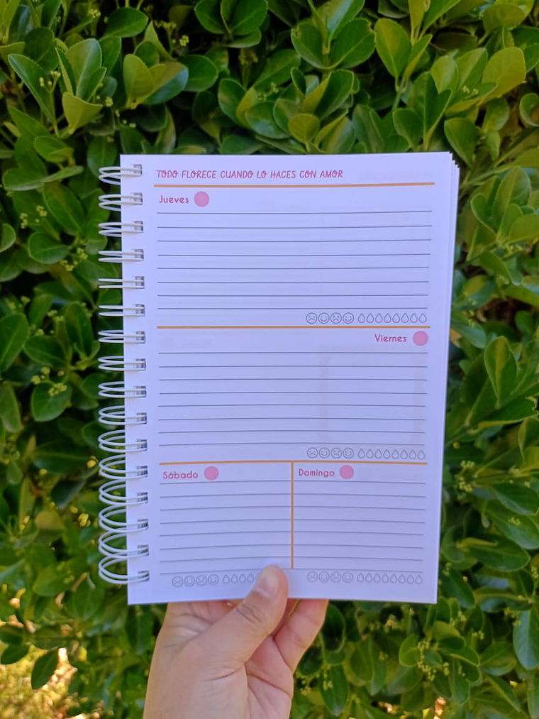 Planner conexión 2026 7