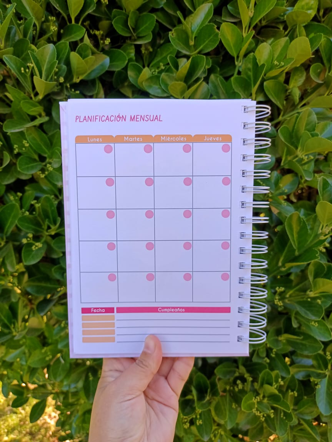 CUADERNO PLANIFICADOR  6