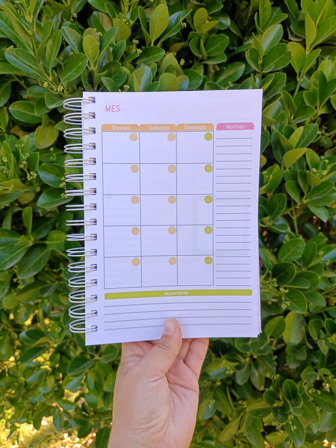 CUADERNO PLANIFICADOR  5