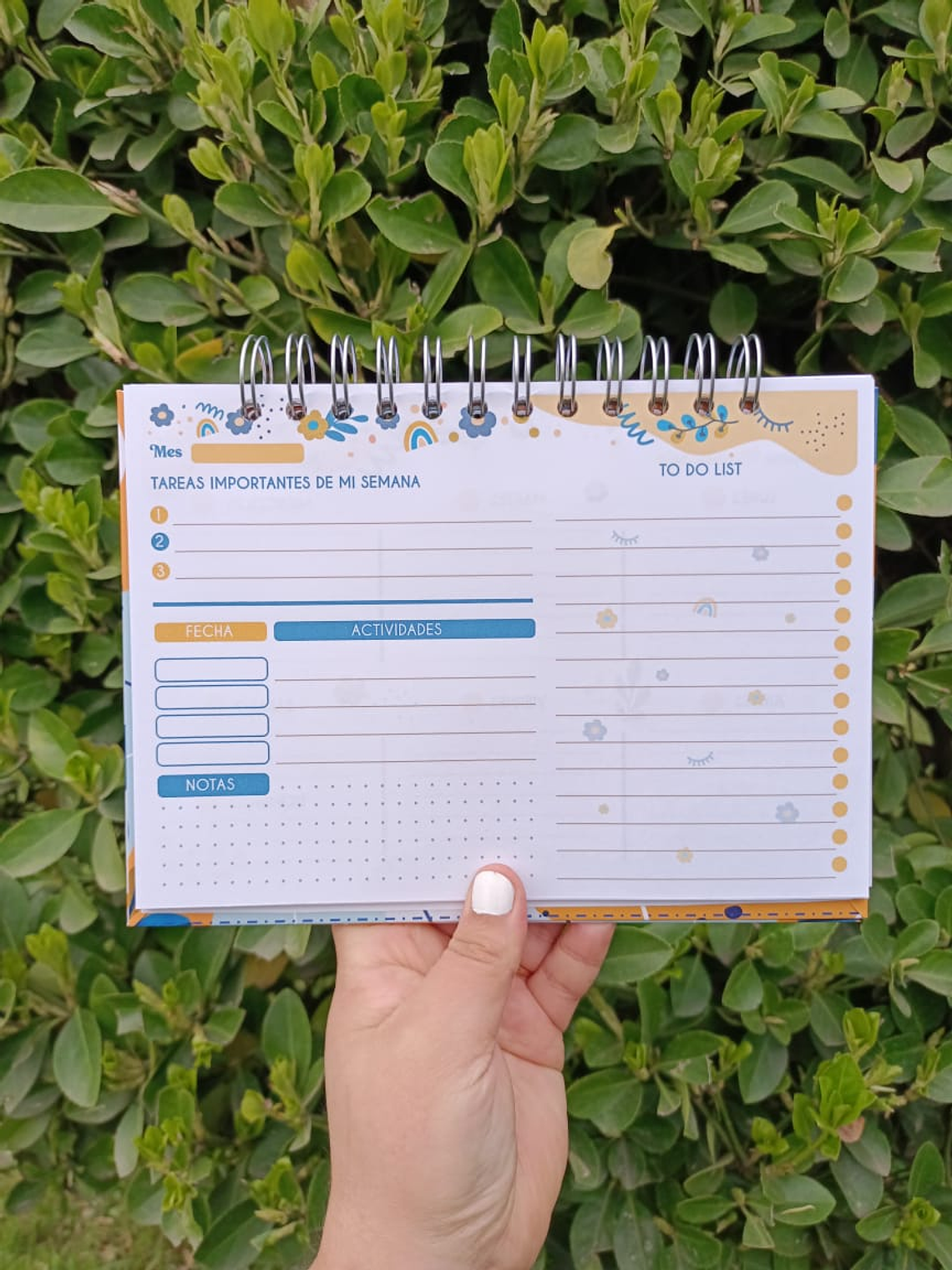 Planner Semanal Azul 2