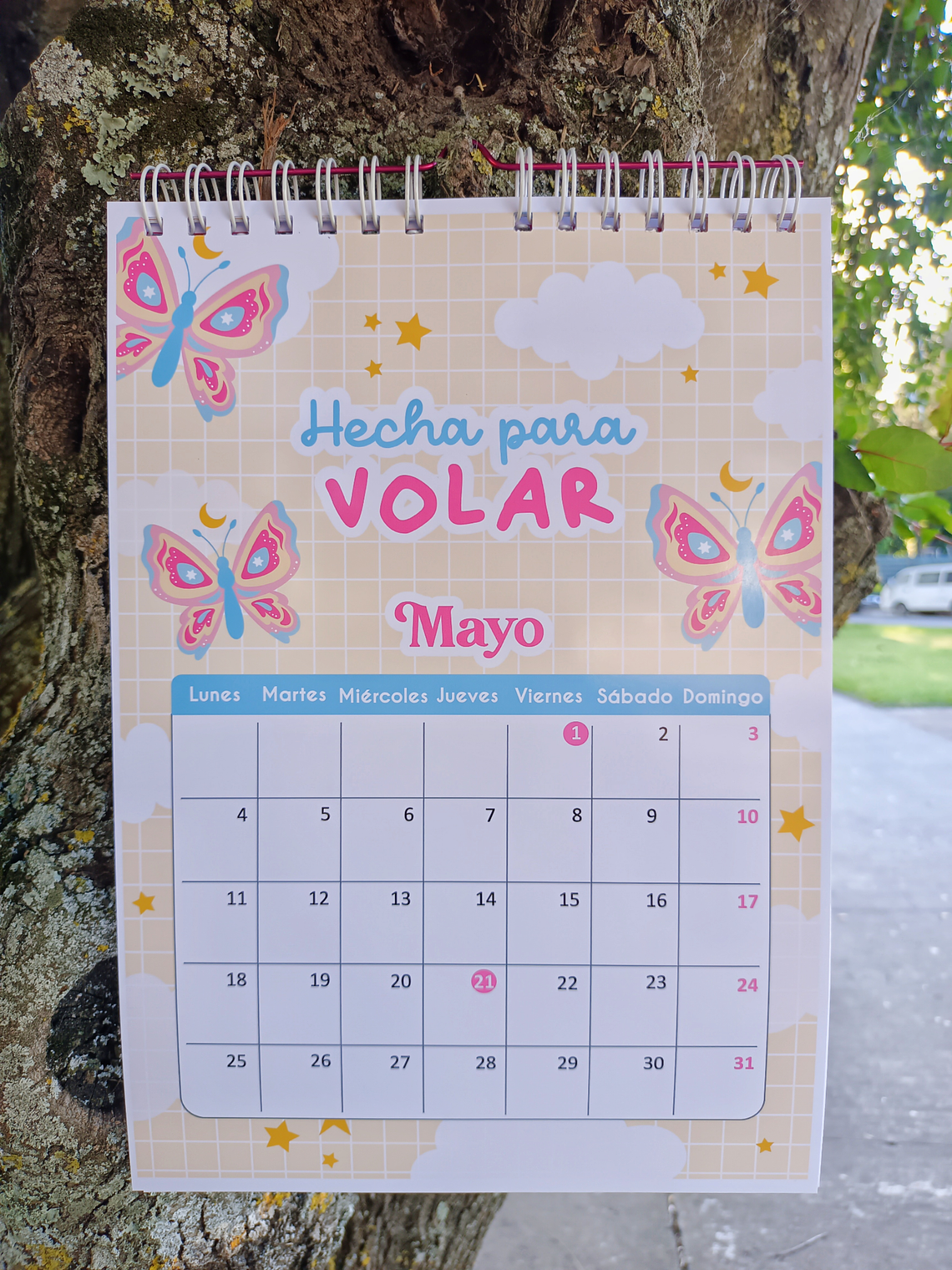 Calendario de pared tipo planner  4