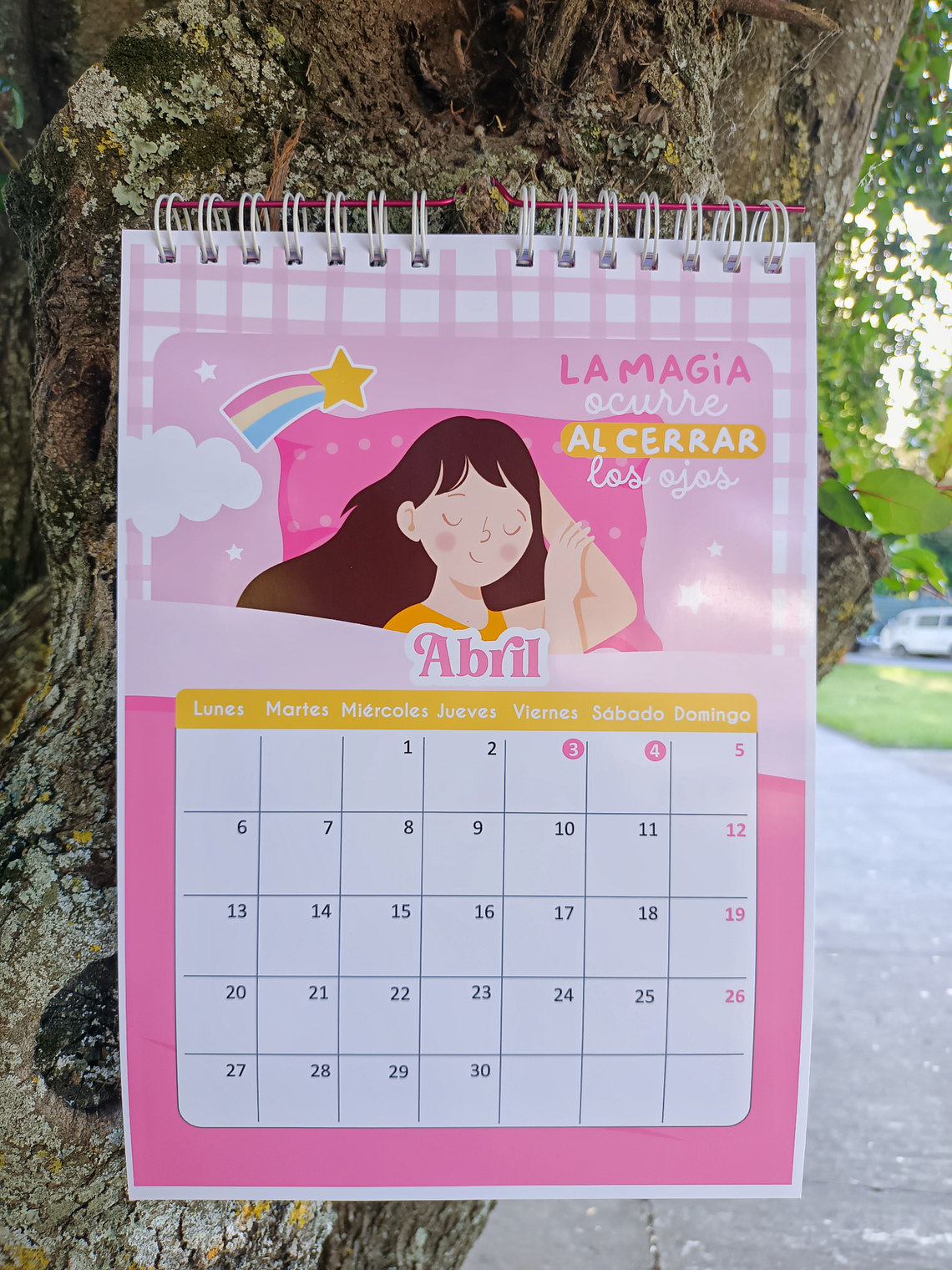 Calendario de pared tipo planner  3