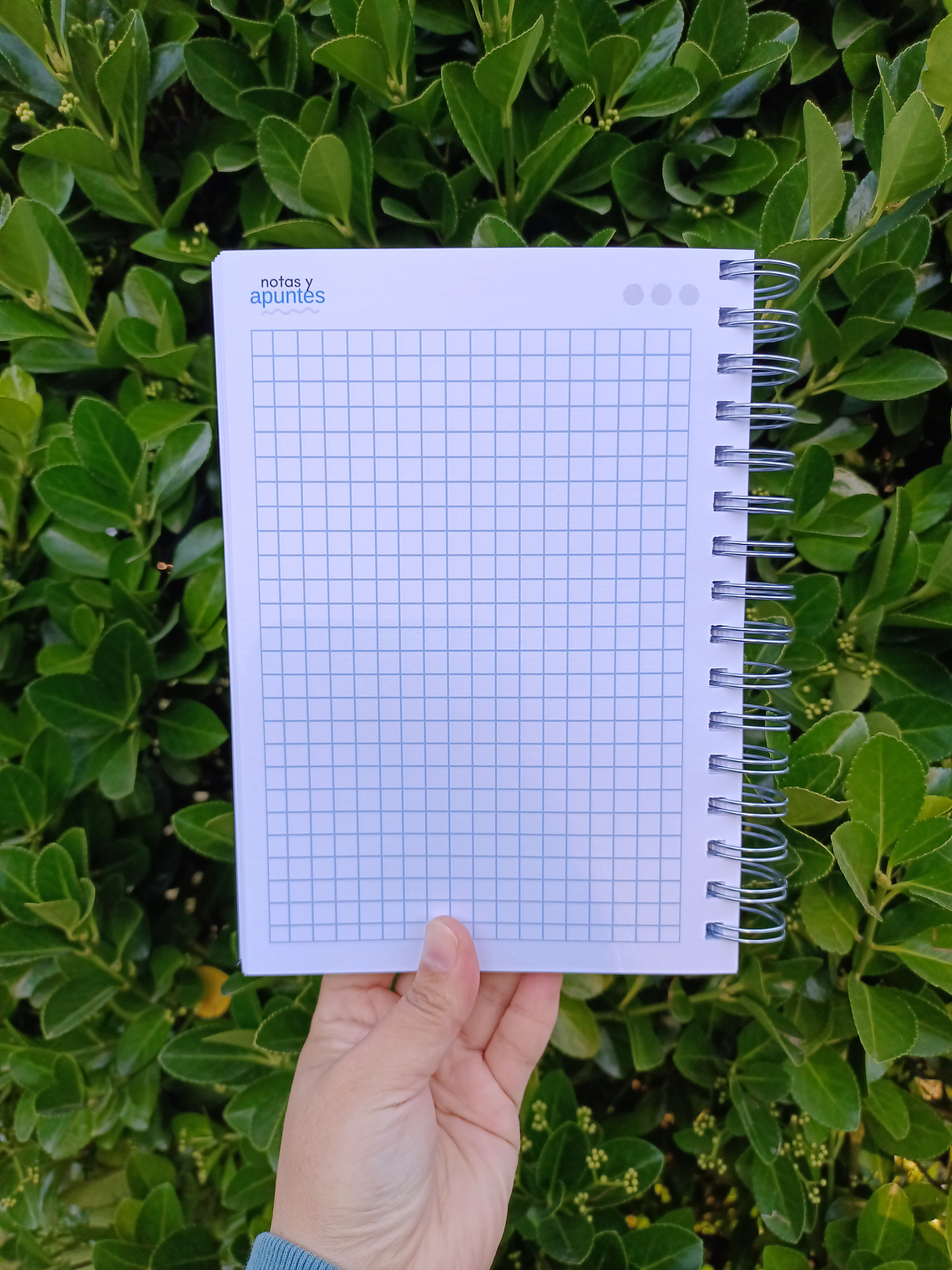 DIARIO DEVOCIONAL HOMBRE  5