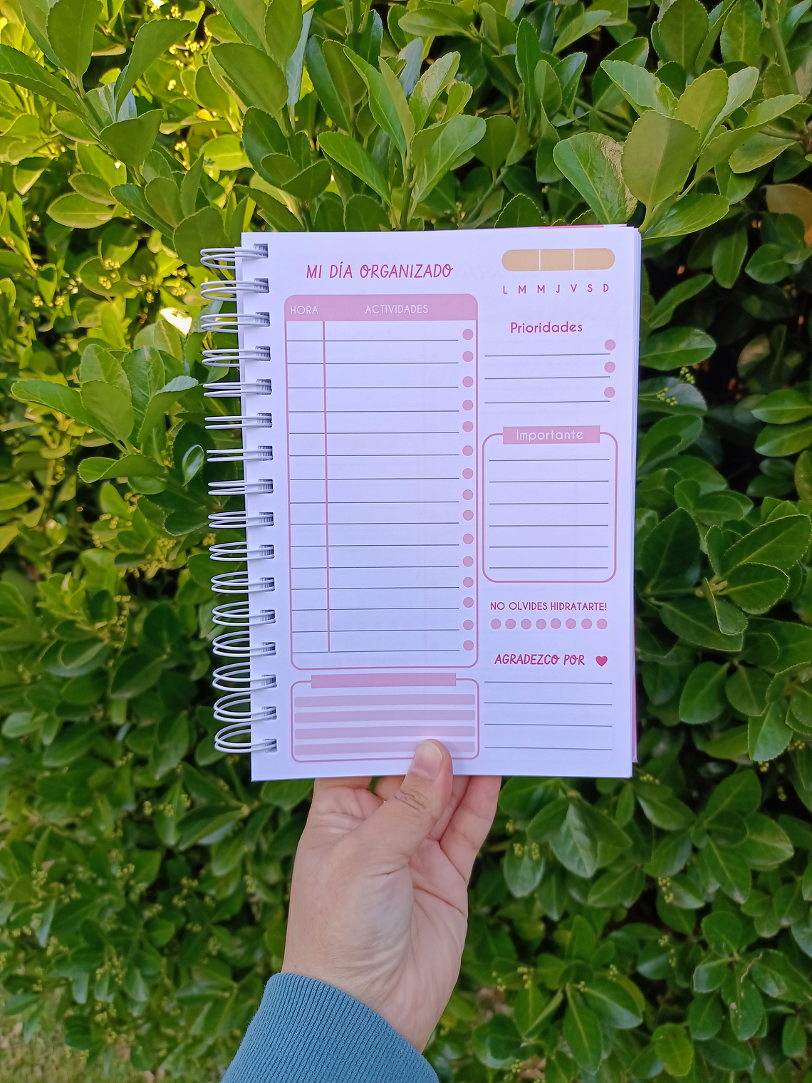 PLANNER DIARIO ROSA 🌸 5