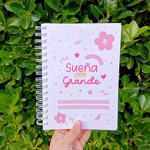PLANNER DIARIO ROSA 🌸