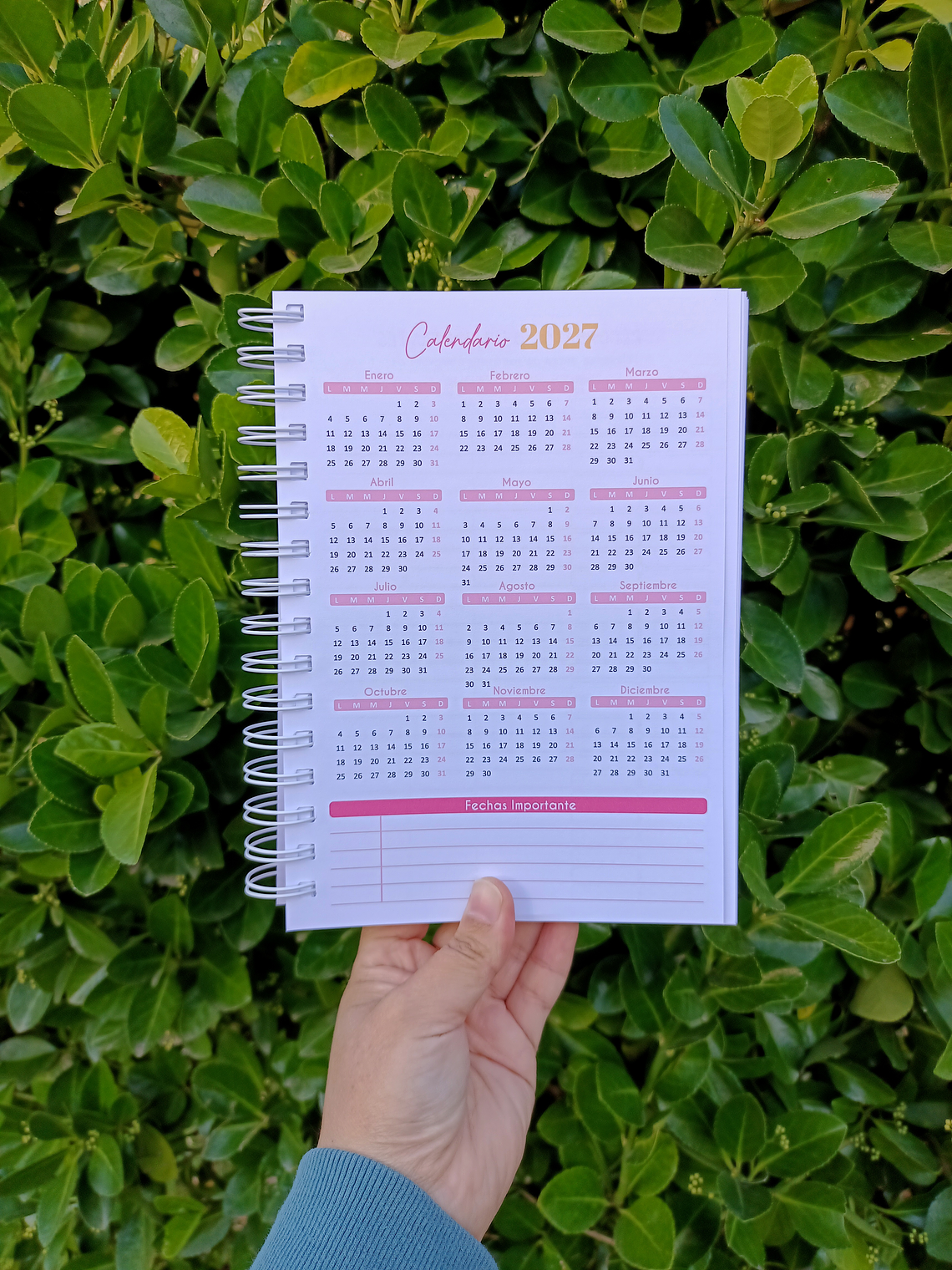 PLANNER DIARIO ROSA 🌸 4