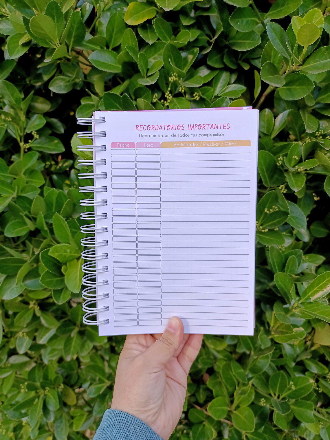 PLANNER DIARIO ROSA 🌸 3