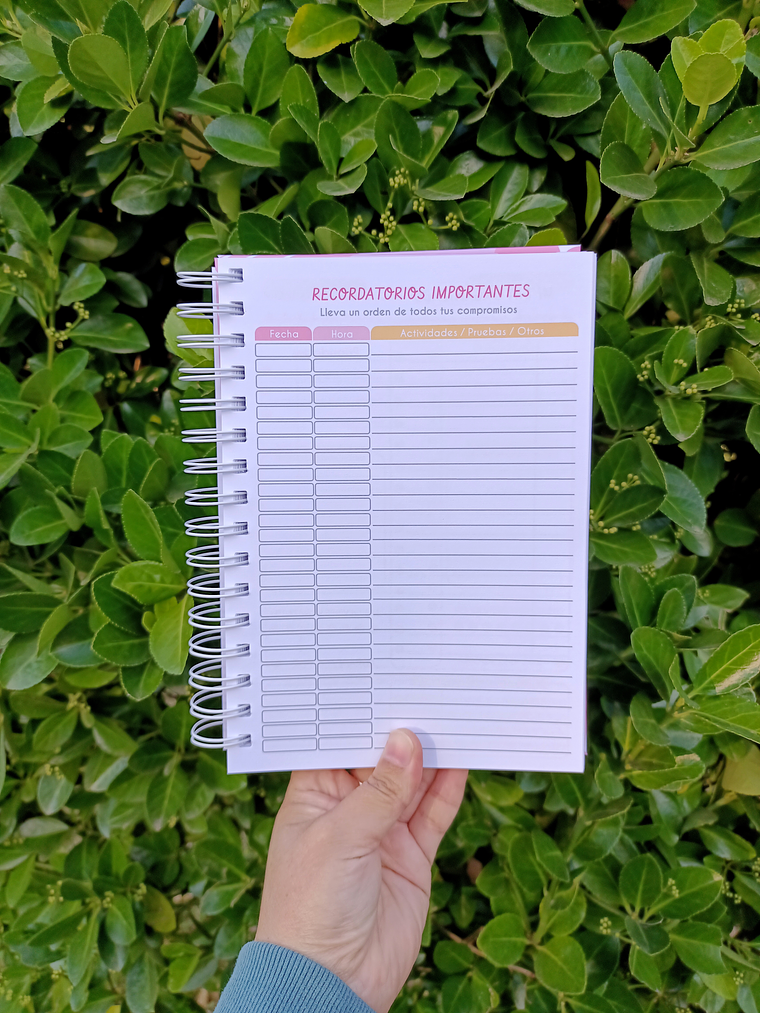 PLANNER DIARIO ROSA 🌸 3