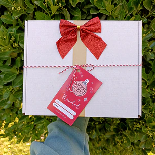 Box 1 Navidad