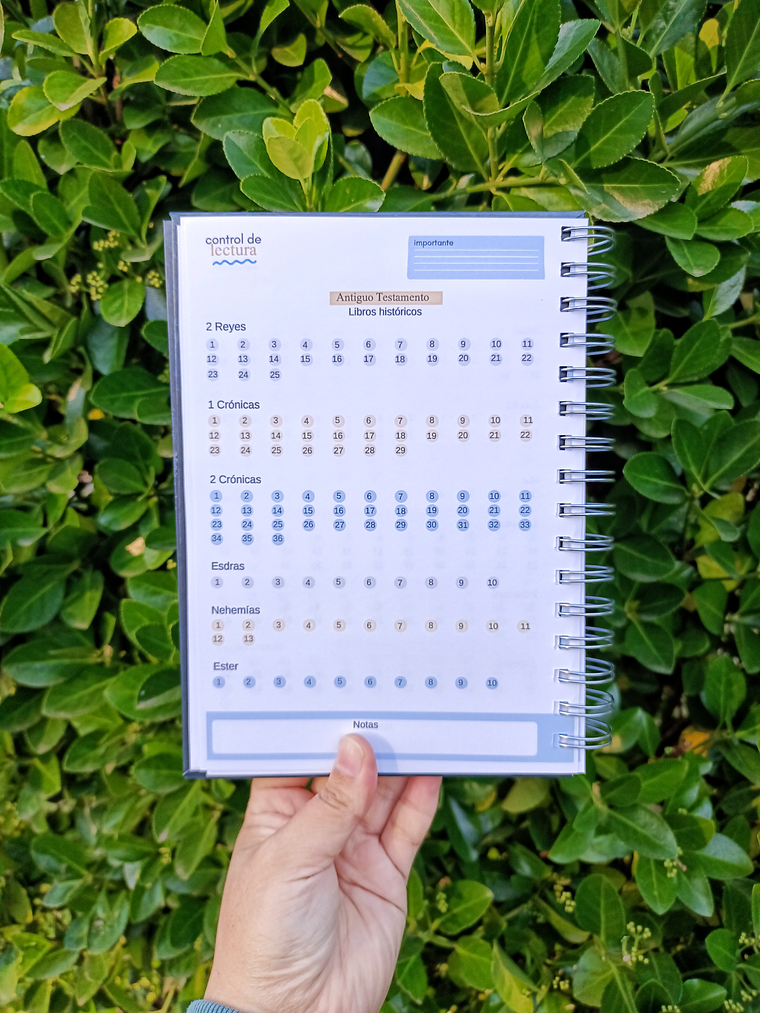 box devocional cristiano hombre  4