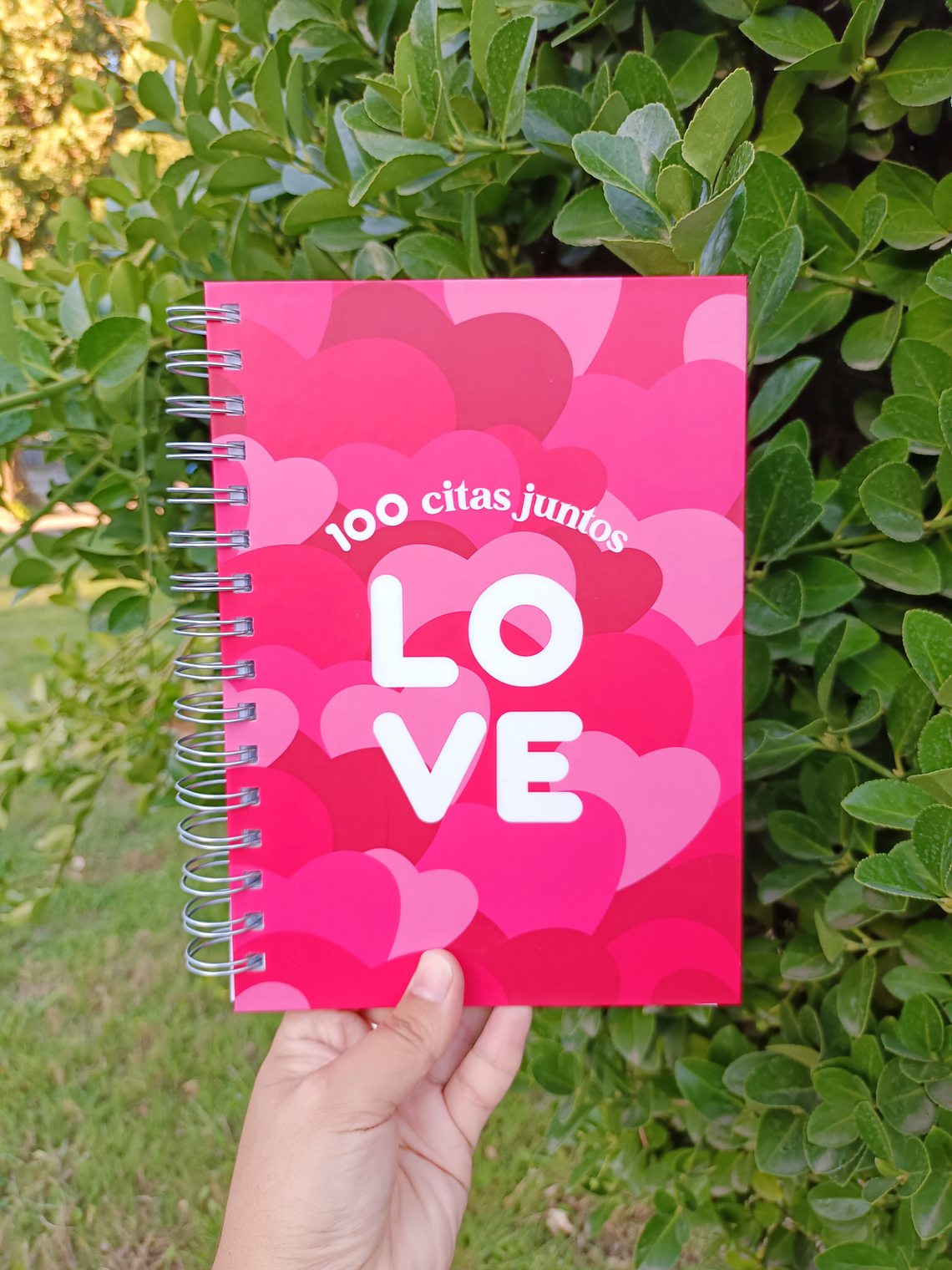 Álbum 100 citas juntos  1