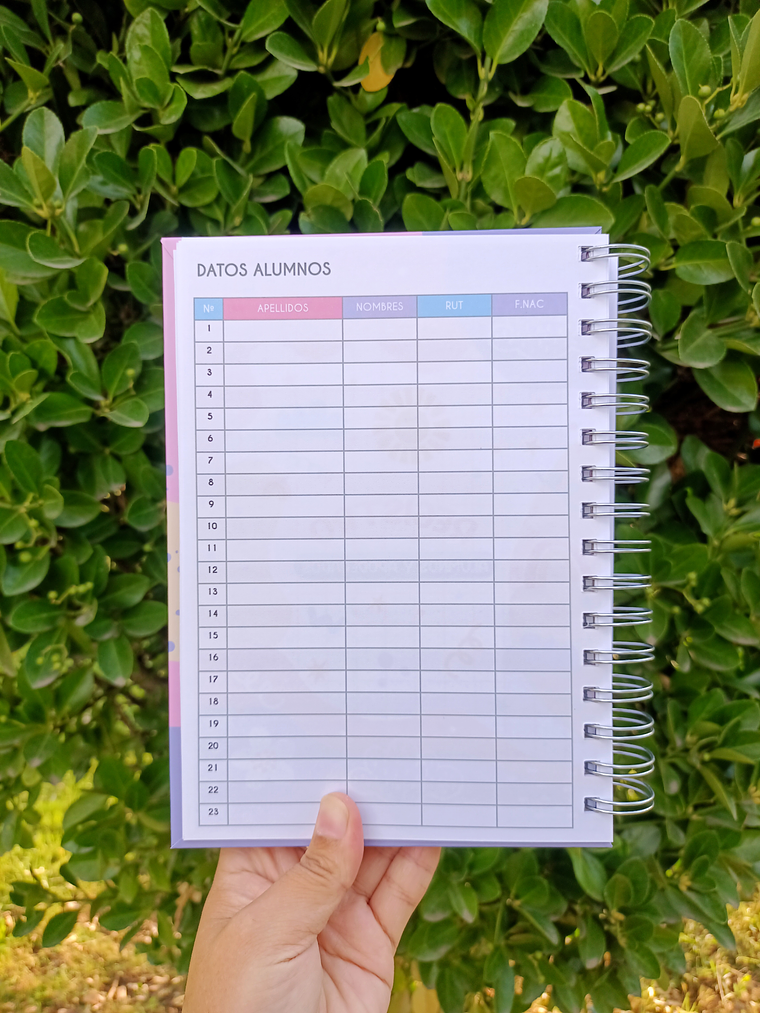 Planner Educadora de Párvulos 4