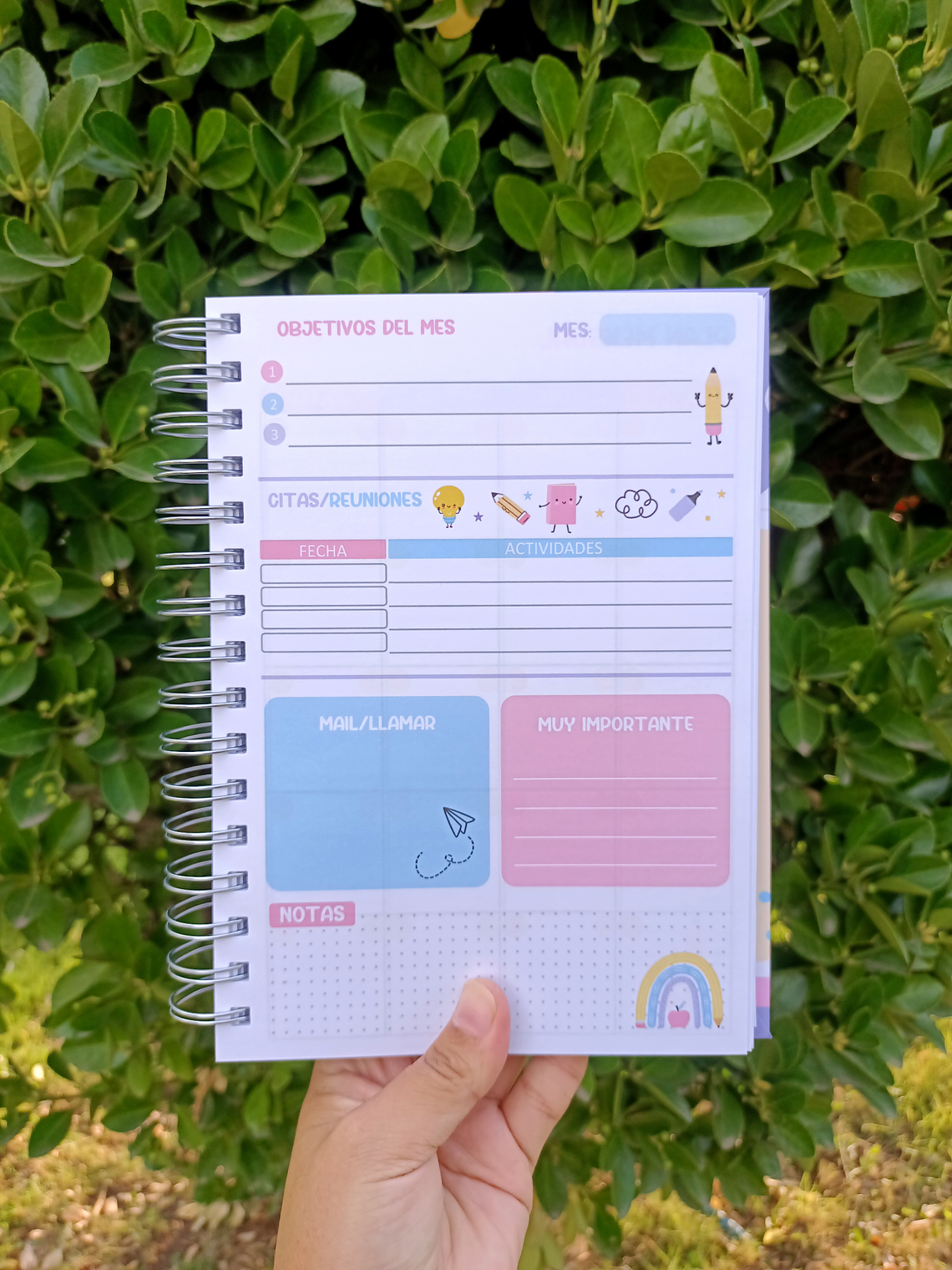 Planner Educadora de Párvulos 8