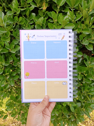 Planner Educadora de Párvulos