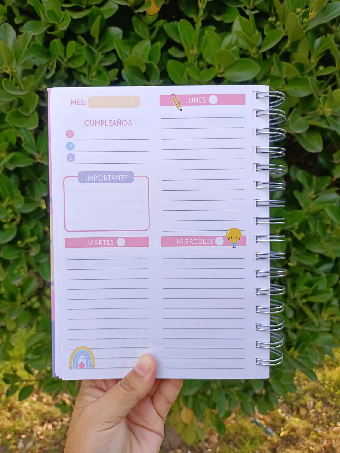 Planner Educadora de Párvulos 6